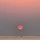 자유인 프로필