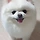 겨울 프로필