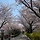 hope 프로필