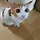 SolCat 프로필