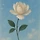하늘꽃 프로필