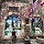 초록물개 프로필