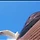 what 프로필