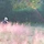 김정환 프로필