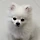 orangepoodle 프로필