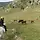 Cool breeze 프로필