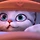 Old cat 프로필