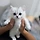 톰과 제리 프로필