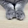 행복한 고양이 집사 프로필