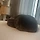 은류 프로필