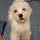 Lucy 프로필