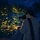 글쓰는 개발자 J 프로필