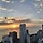 그레이스조 프로필