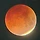 Blood Moon 프로필