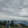 mogely 프로필