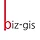 biz gis 프로필