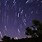 Stardust