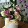 Shining Sun l 초록정원 baogarden