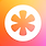 미디어자몽
