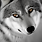 SeaWolf