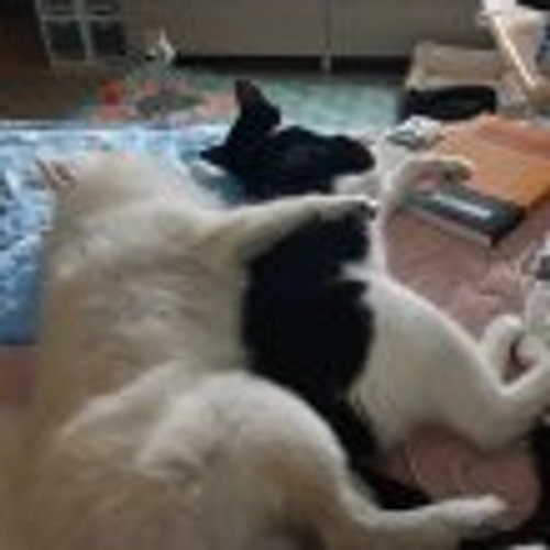 프로필 이미지