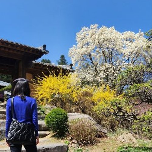 프로필 이미지