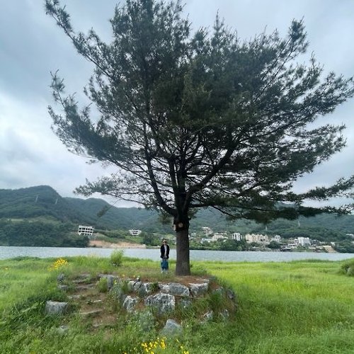 프로필 이미지