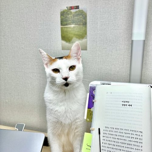 프로필 이미지