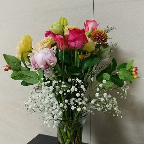프로필 이미지