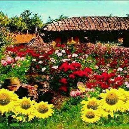 프로필 이미지