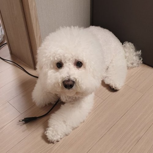 프로필 이미지