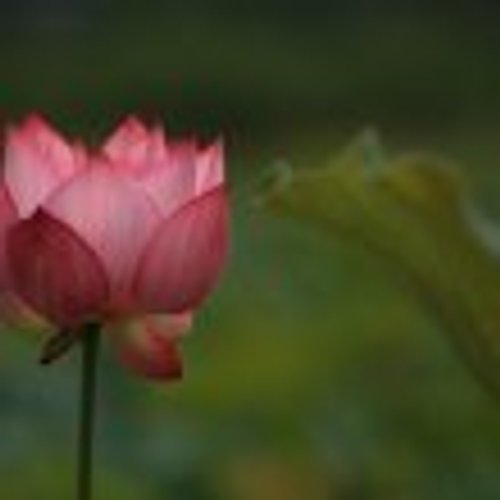 프로필