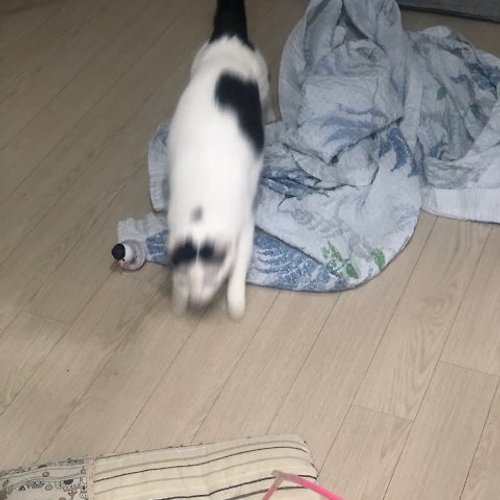 프로필 이미지