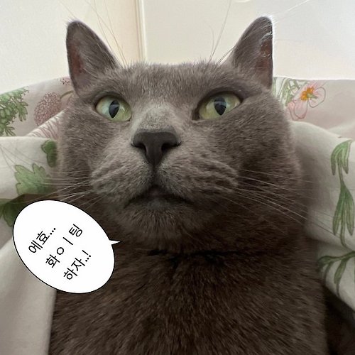 프로필 이미지