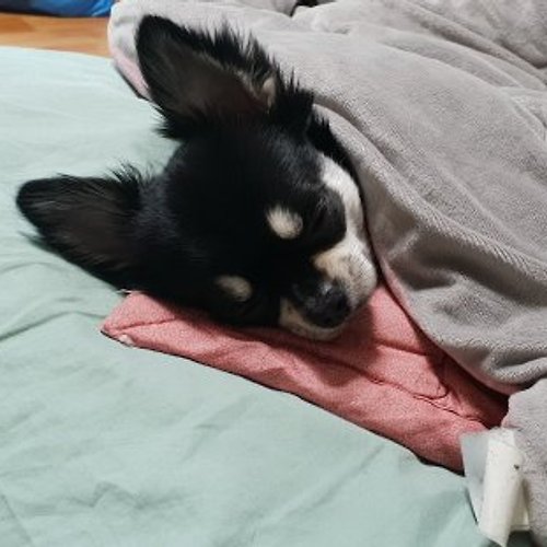 프로필 이미지