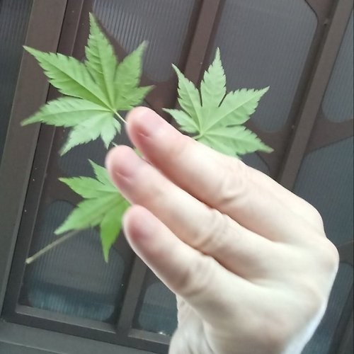 프로필 이미지