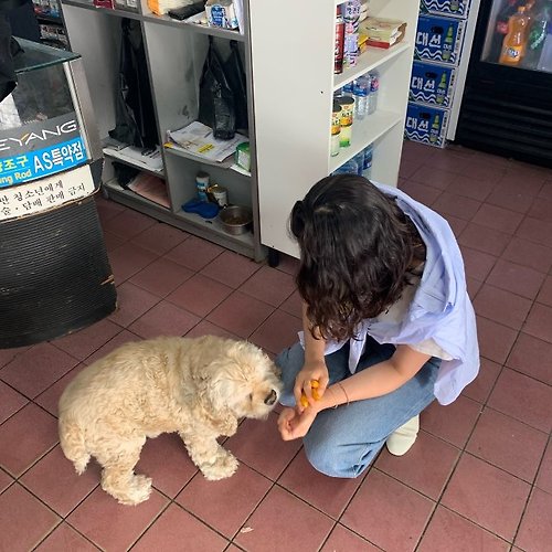 프로필 이미지