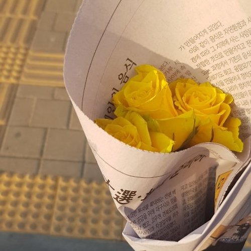 프로필 이미지