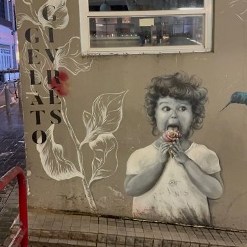 프로필 이미지