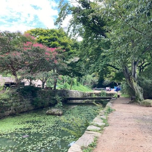 프로필 이미지
