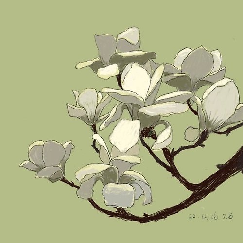 프로필 이미지