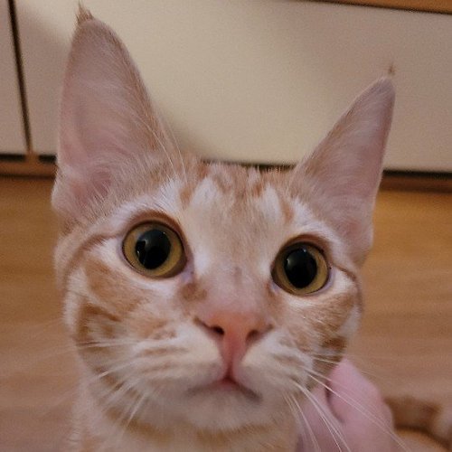 프로필 이미지