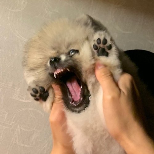 프로필 이미지