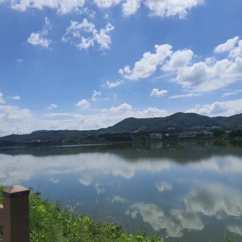 프로필 이미지
