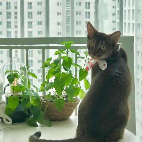 프로필 이미지