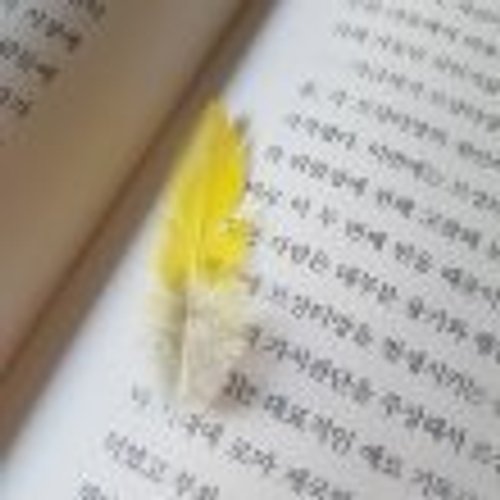 프로필 이미지