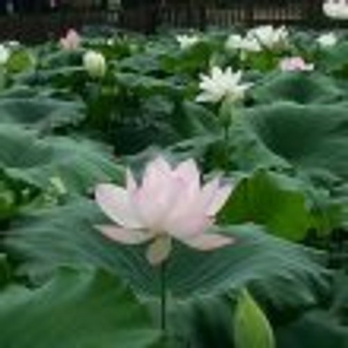프로필