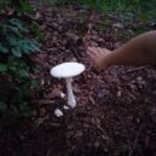 프로필 이미지