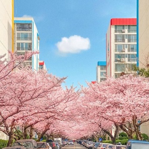 프로필