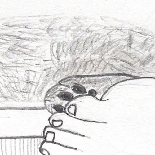 프로필 이미지